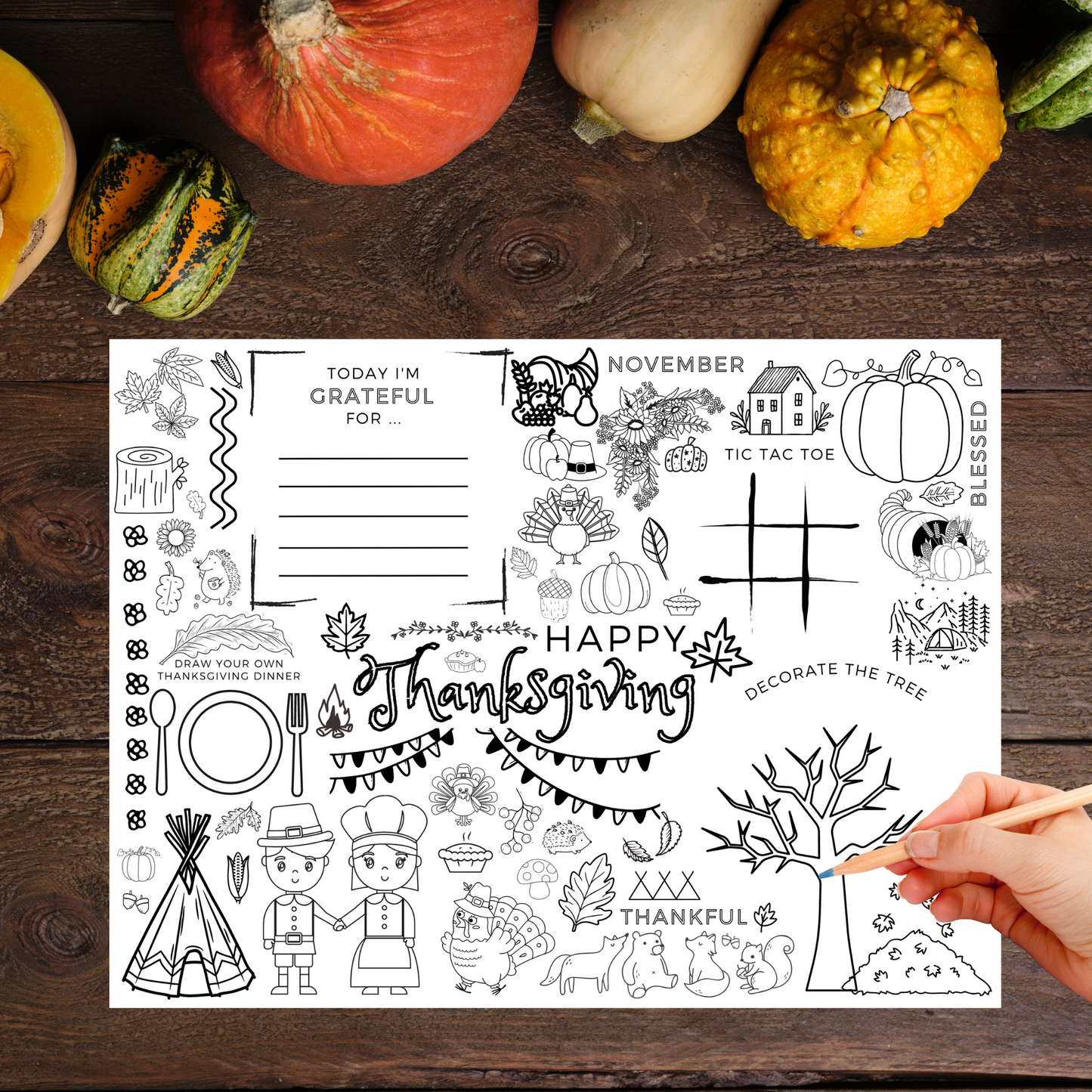 Thanksgiving Busy Place Mat | 6 pack
